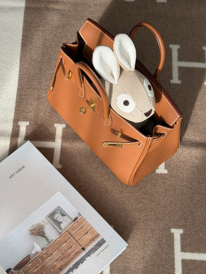 Hermès | Birkin 25 金棕色 金釦
